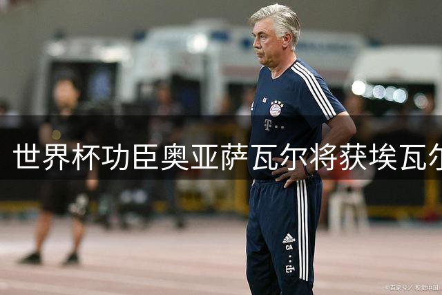 世界杯功臣奥亚萨瓦尔将获埃瓦尔市最高荣誉 市长盛赞其展现城市精神