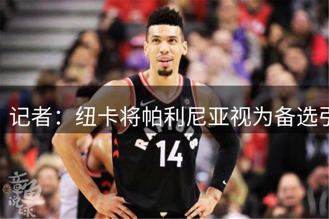 记者：纽卡将帕利尼亚视为备选引援方案，预计不会推进交易